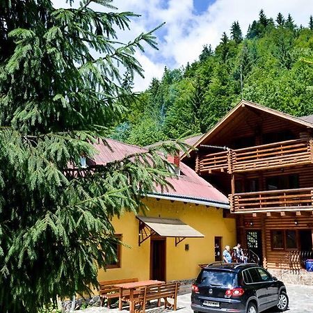 Cabana Bradul Rodna Buitenkant foto