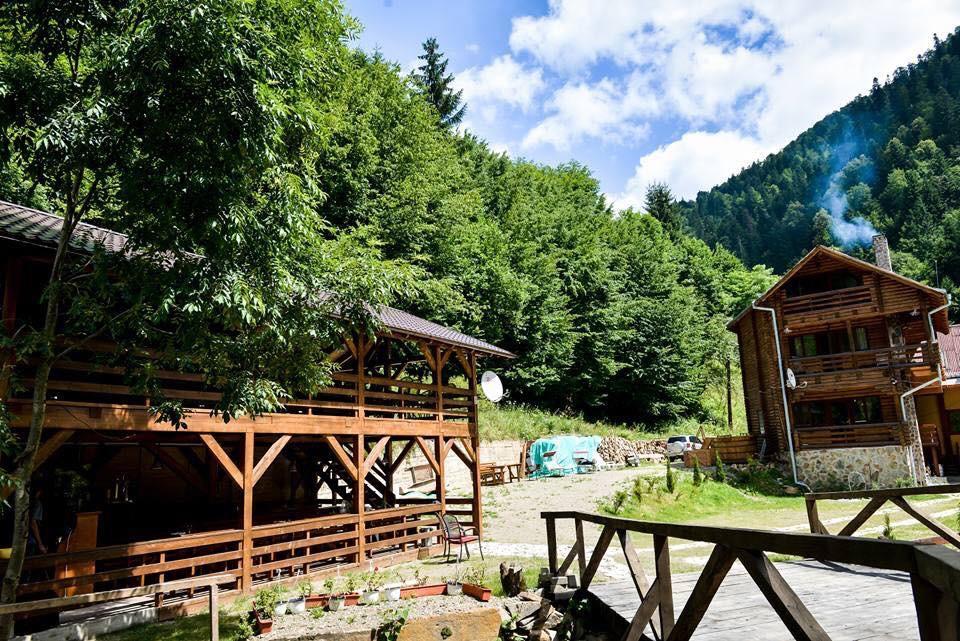 Cabana Bradul Rodna Buitenkant foto